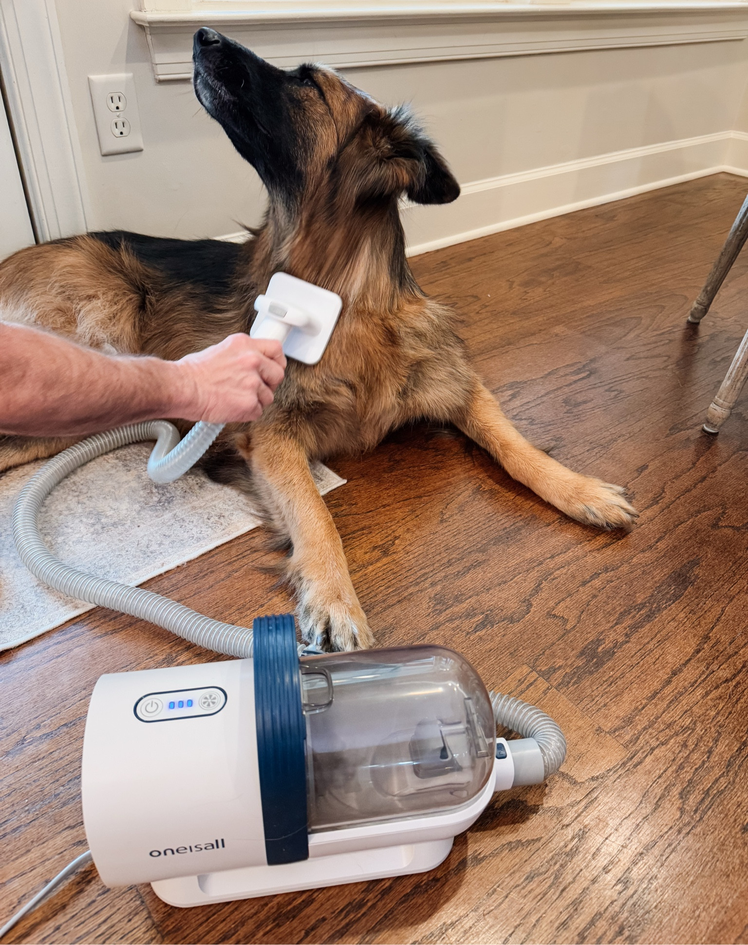 The dog grooming vacuum we have is on sale plus you can clip an additional $20 off coupon! We love this! 

Pets, vacuum, grooming, brush, deshedding, dog must haves, fur 

#LTKHome #LTKFindsUnder100 #LTKSaleAlert