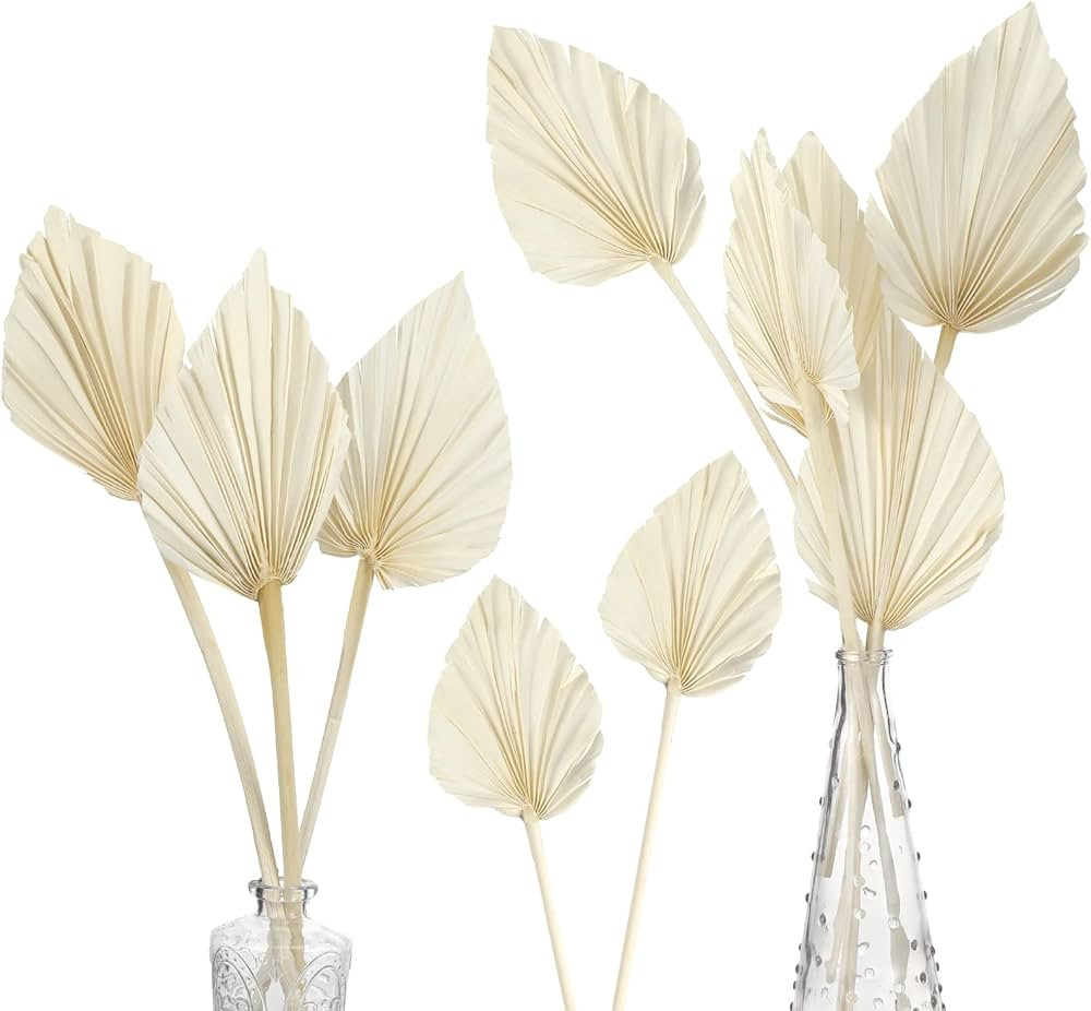 Boho Dried Palm Spears Small Natural Dried Palm Fans Dried Palm Leaves Dried Palm Leaf Palm Fan L... | Amazon (US)