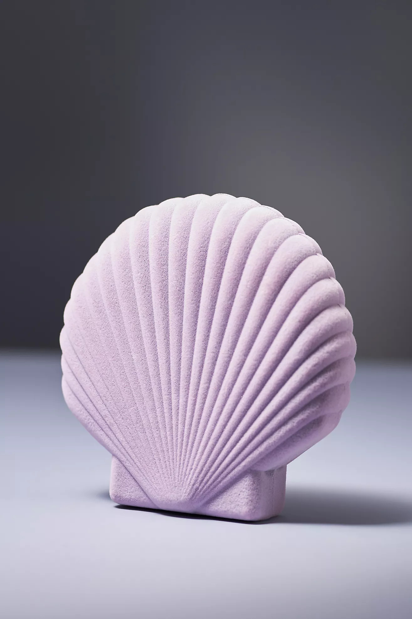 Velvet Shell Jewelry Box | Anthropologie (US)