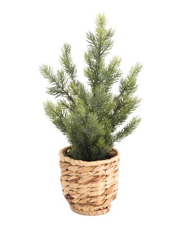 17in Fir Tree In Woven Basket | Marshalls