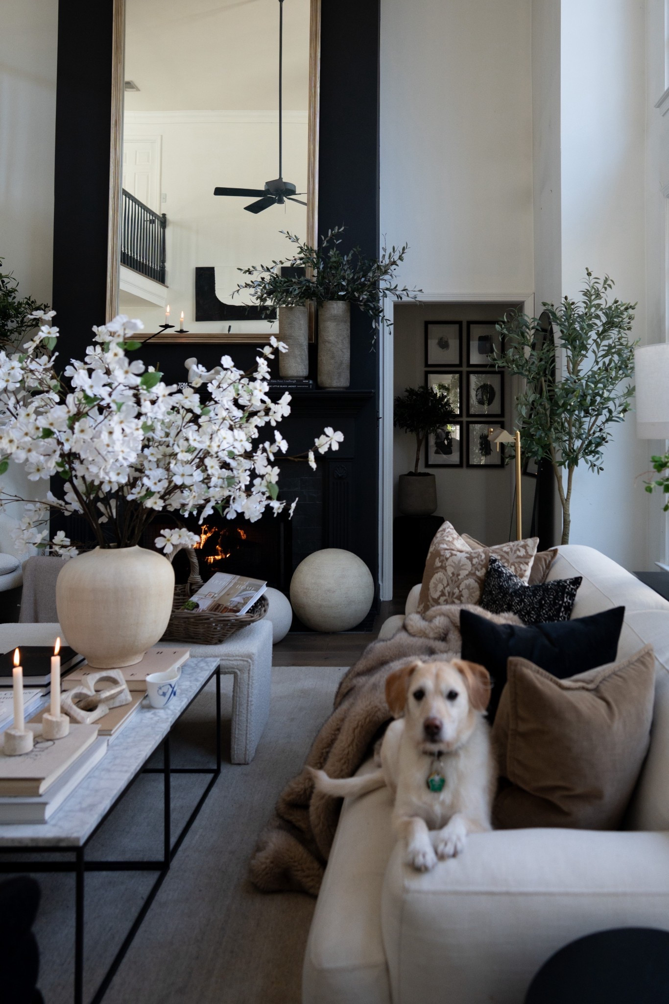 Omggggg. These faux flowers are beyond anything I’ve ever seen!!! I’m FREAKING over them!

Guys!! I’m flipping out over these faux dogwoods! They are a solid 63” long and they are soooo beautiful! I couldn’t get them fast enough! They remind me of being a little girl and the dogwood that bloomed every year outside my window.  

I love how flowers can bring us so much happiness! Their joy is infectious! And these in particular are just beyond words!! XxV 

#houseofvalentina 
@thehouseofvalentina 

#LTKHome #LTKSeasonal