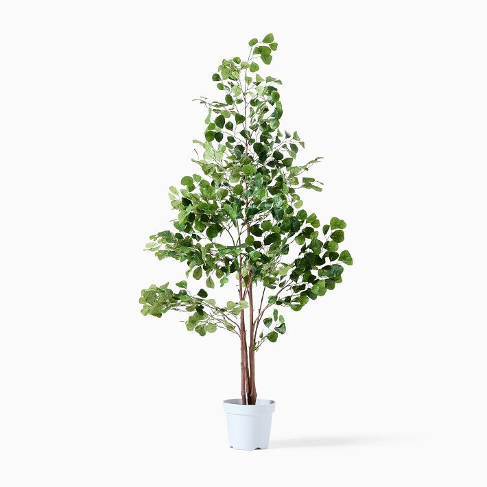 Faux Potted Ficus Tree | West Elm (US)