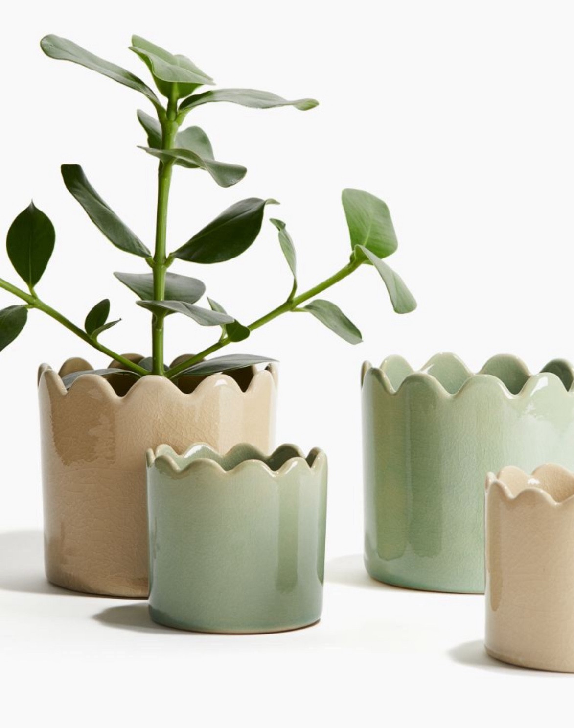 Planters

#LTKSeasonal #LTKGiftGuide #LTKhome