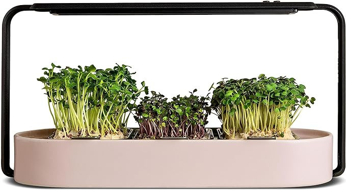 ingarden Microgreens Growing Kit - Organic Superfood Sprouting Seed Pads (3) | Auto 4-Stage LED G... | Amazon (US)