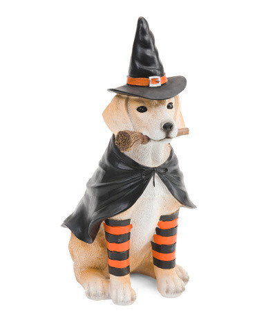 Wtich Costume Dog Decor | TJ Maxx