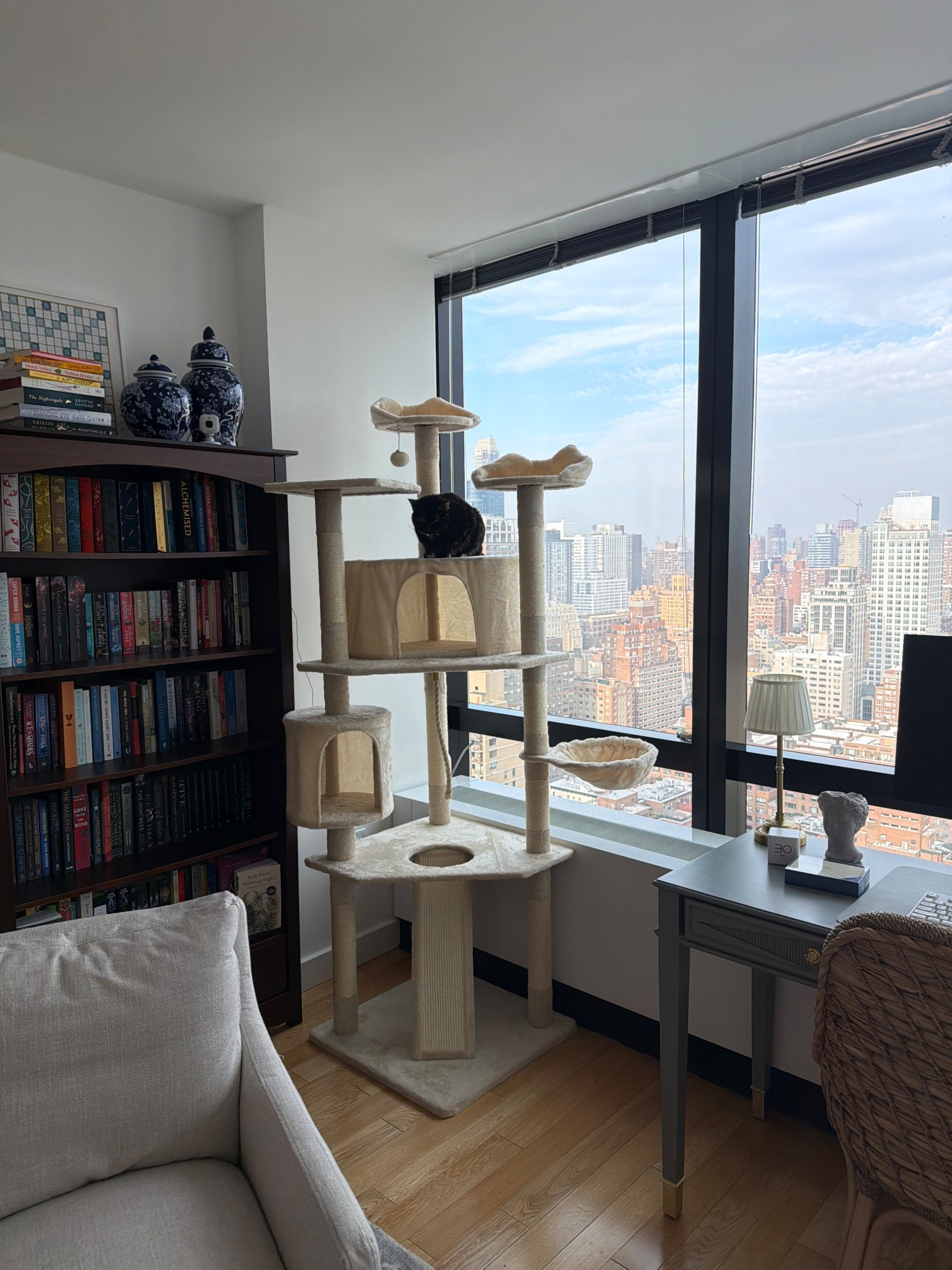 Committed to the crazy cat lady title 

#LTKU #LTKFindsUnder100 #LTKHome