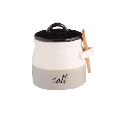 Salt Cellar With Lid And Spoon (10 Oz) - Handmade Salt Keeper W/Wooden Spoon - Ceramic Salt Container With Lid - Stylish Salt Storage Container | Wayfair North America
