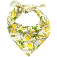 Lemon Blossoms Dog Bandana Fruit Tree Pet Neckwear, Tie-On Or Collar Slip-On, Personalizable | Etsy (US)
