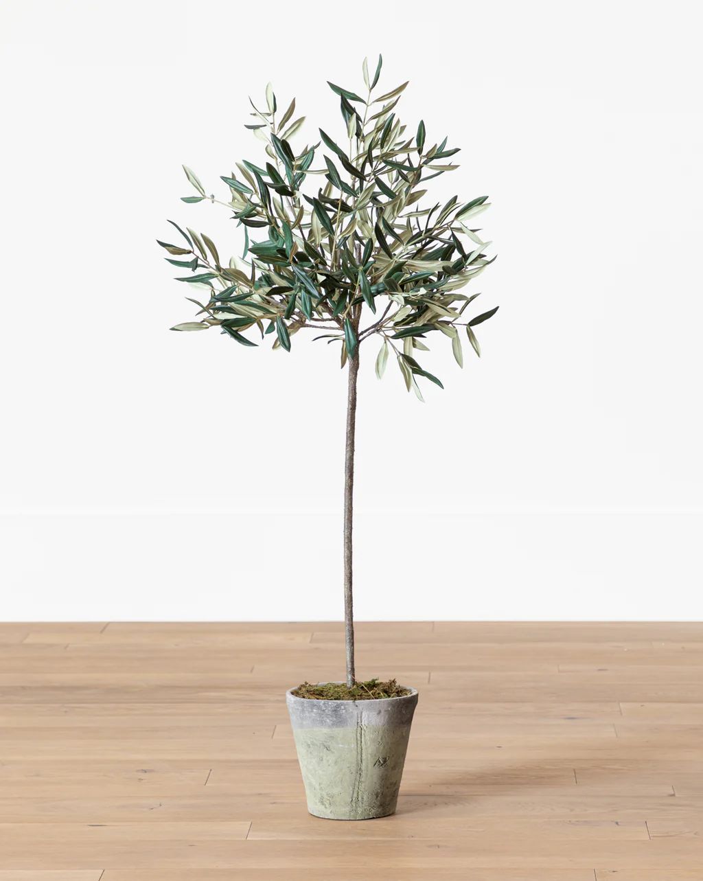 Faux Potted Tuscan Olive Tree | McGee & Co.
