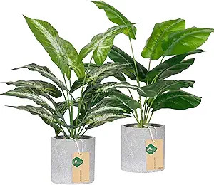 Der Rose 2 Pack Fake Plants Artificial Tropical Faux Plants Indoor for Office Desk Home Sage Gree... | Amazon (US)