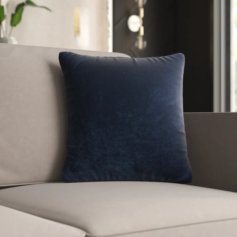 Throw Pillow | Wayfair North America