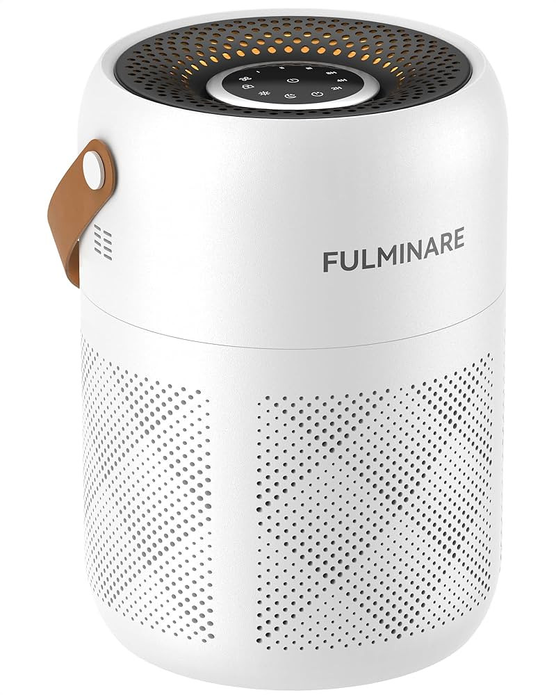 FULMINARE Air Purifiers for Bedroom, H13 True HEPA Air Purifiers for Home, Pets, Office, Quiet Sm... | Amazon (US)