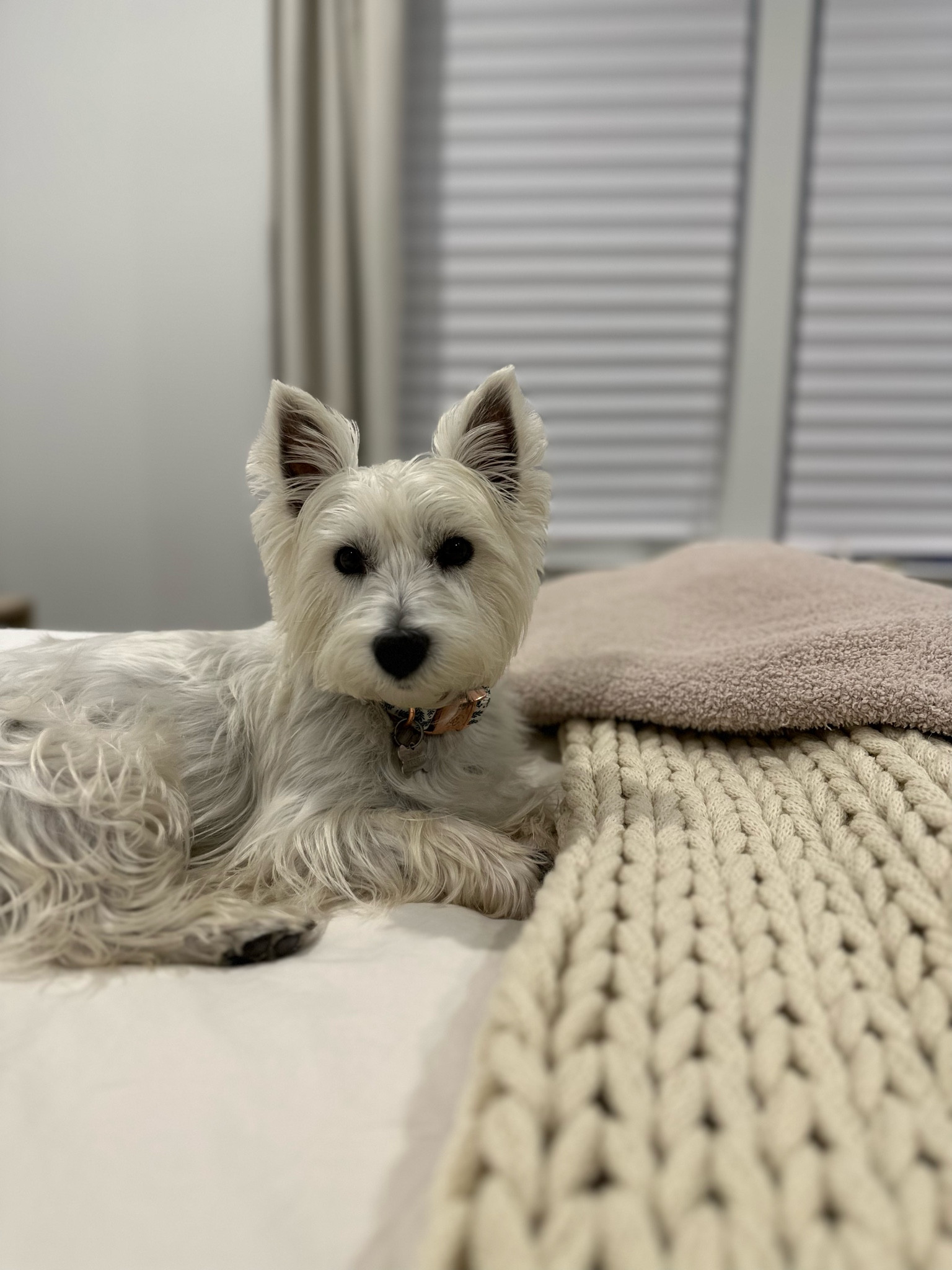 #LTKbeauty #LTKHoliday #LTKfamily