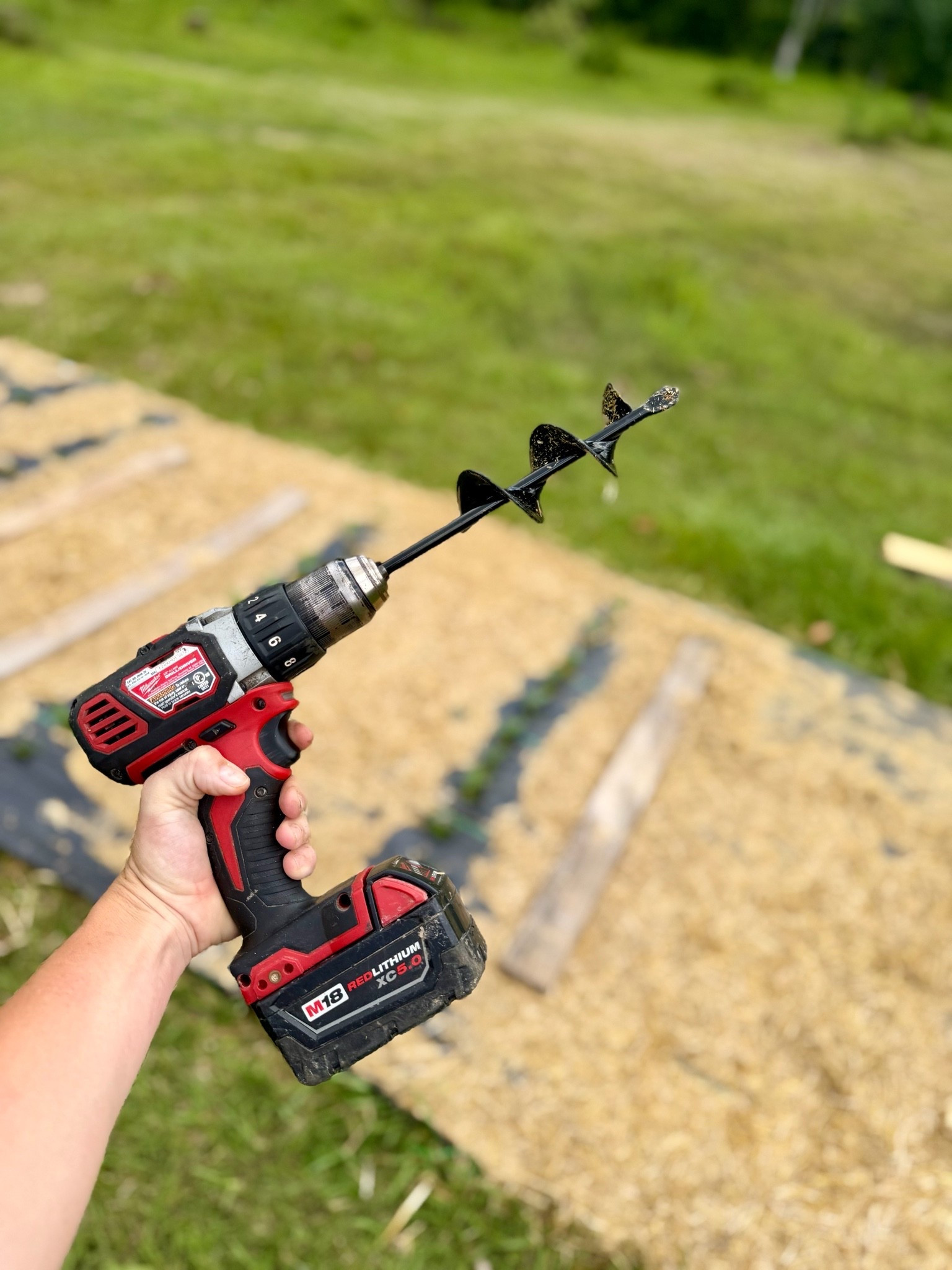Auger Drill Bit

#LTKdayinmylife #LTKSeasonal #LTKfoodie