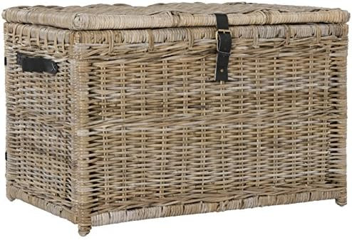 Amazon.com: happimess Michael 35" Wicker Storage Trunk, Natural : Home & Kitchen | Amazon (US)