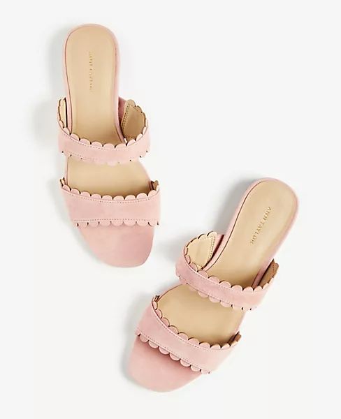 Jean Scalloped Flat Suede Sandals | Ann Taylor | Ann Taylor (US)