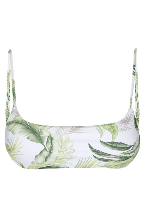 BAHAMAS TOP PALM | Otrium US