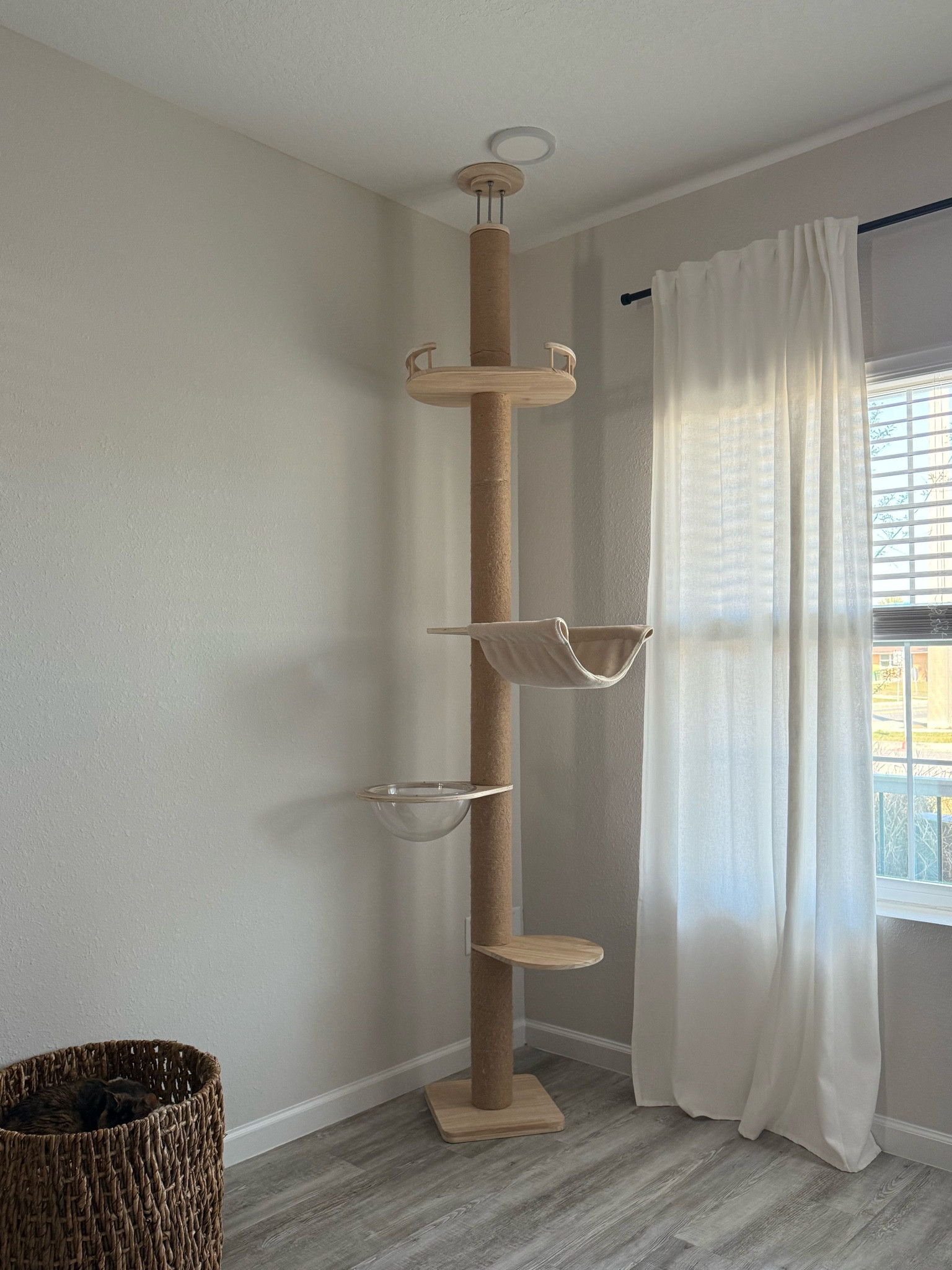 spoil your babies! they deserve it! people always ask me how I keep my furniture almost perfect, the answer is having things in the home that keep them stimulated & entertained. this post is their favorite. 