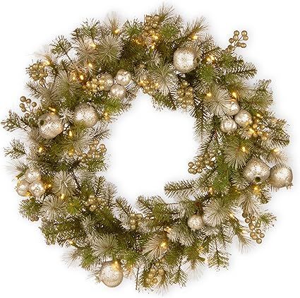 National Tree 24 Inch Glittery Pomegranate Pine Wreath with Sliver Pomegranate, Champagne Berries... | Amazon (US)