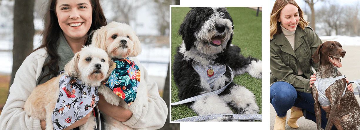 Pet Accessories | Vera Bradley