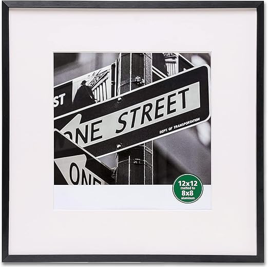 TheDisplayGuys - Contemporary Aluminum Picture Frame - Tempered Glass - Square 12x12 matted to 8x... | Amazon (US)