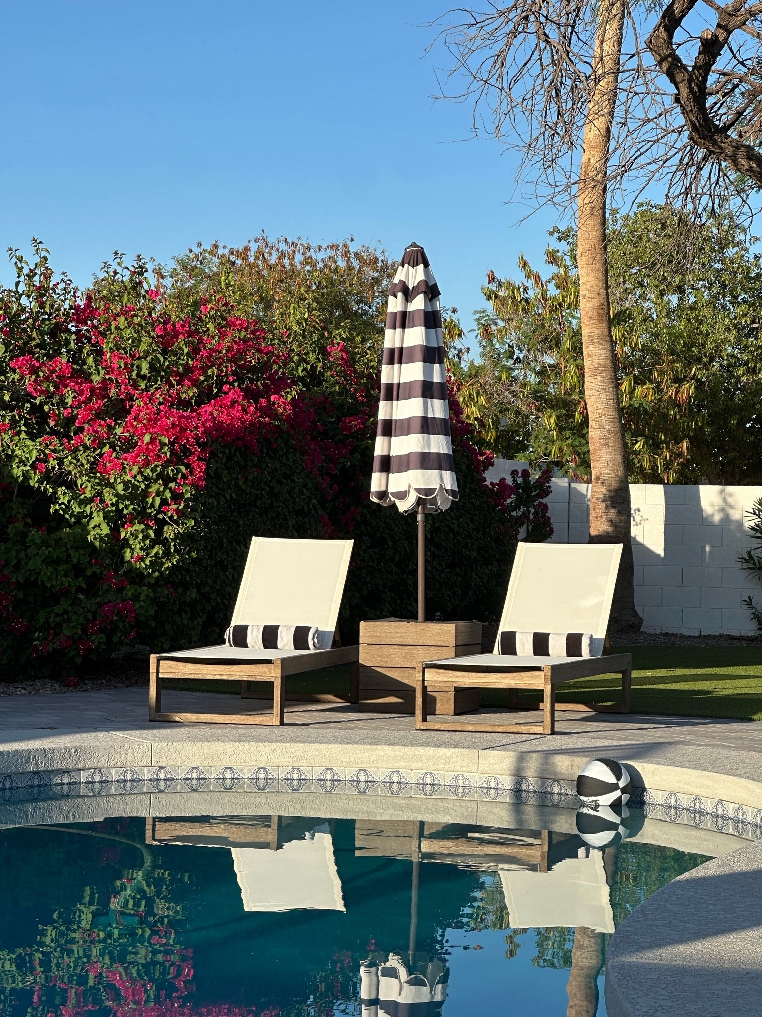 Backyard RESET! It's summertime in Arizona and we are cleaning our backyard and prepping for the season!

#LTKHome #LTKSwim #LTKSeasonal
