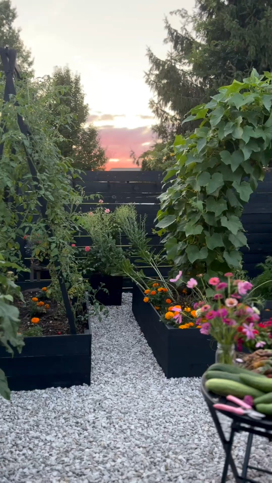 Welcome to my garden favorites. 🌿

These are the products I actually use, love, and recommend—from beginner-friendly essentials to the little things that have made the biggest difference in our garden.

I hope they help you create a garden you love, too.

#LTKHome #LTKSaleAlert #LTKSeasonal