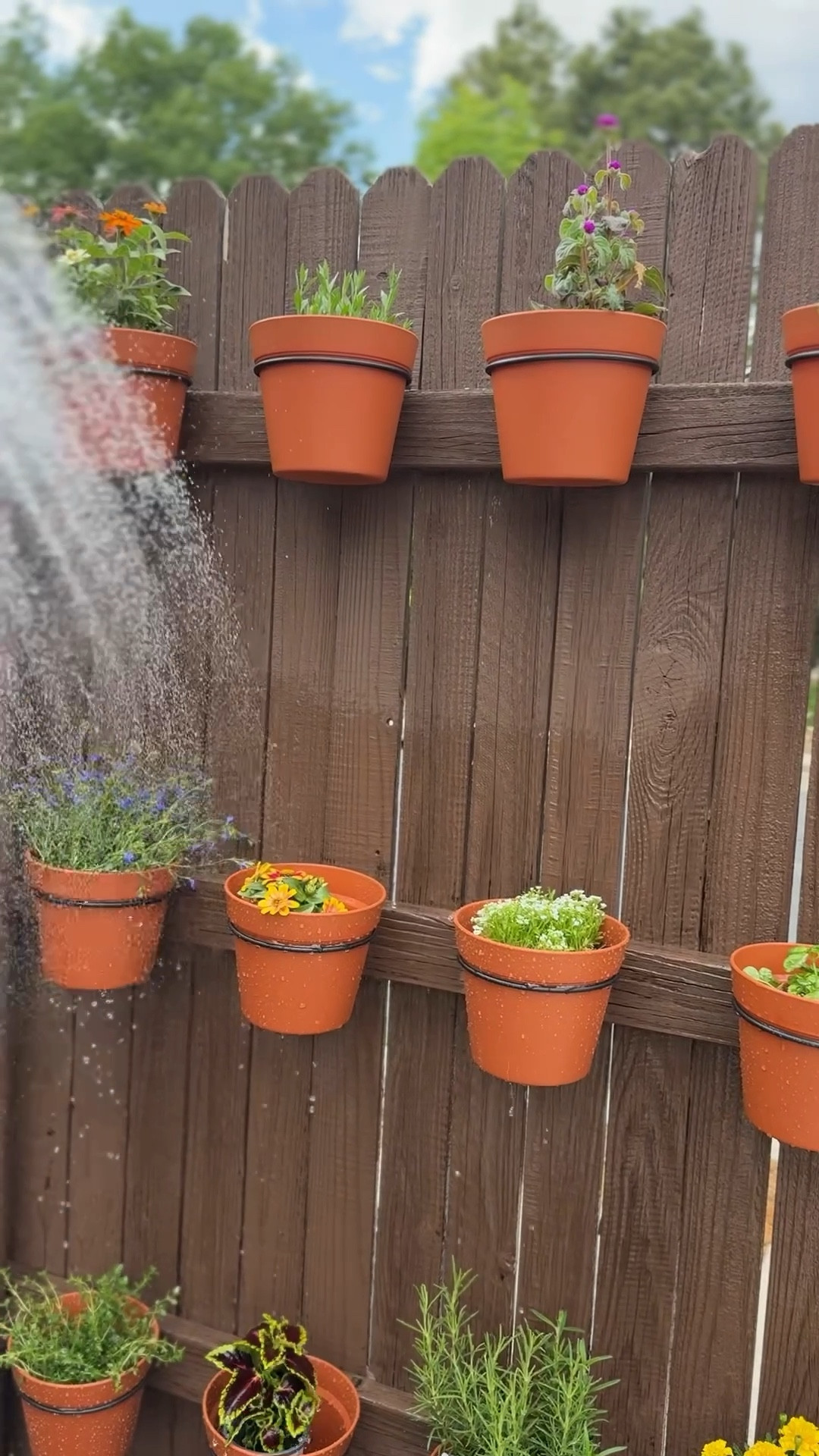 Made a really simple and cute pot wall and filled it with some herbs and flowers. Used 12 pots total. Be sure to use exterior screws for this!

#LTKHome