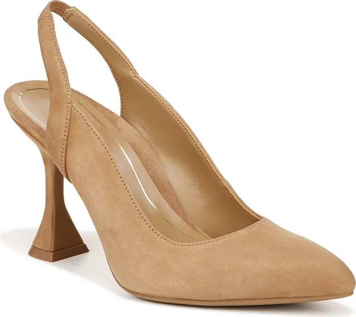 Adalena Pointed Toe Pump (Women) | Nordstrom