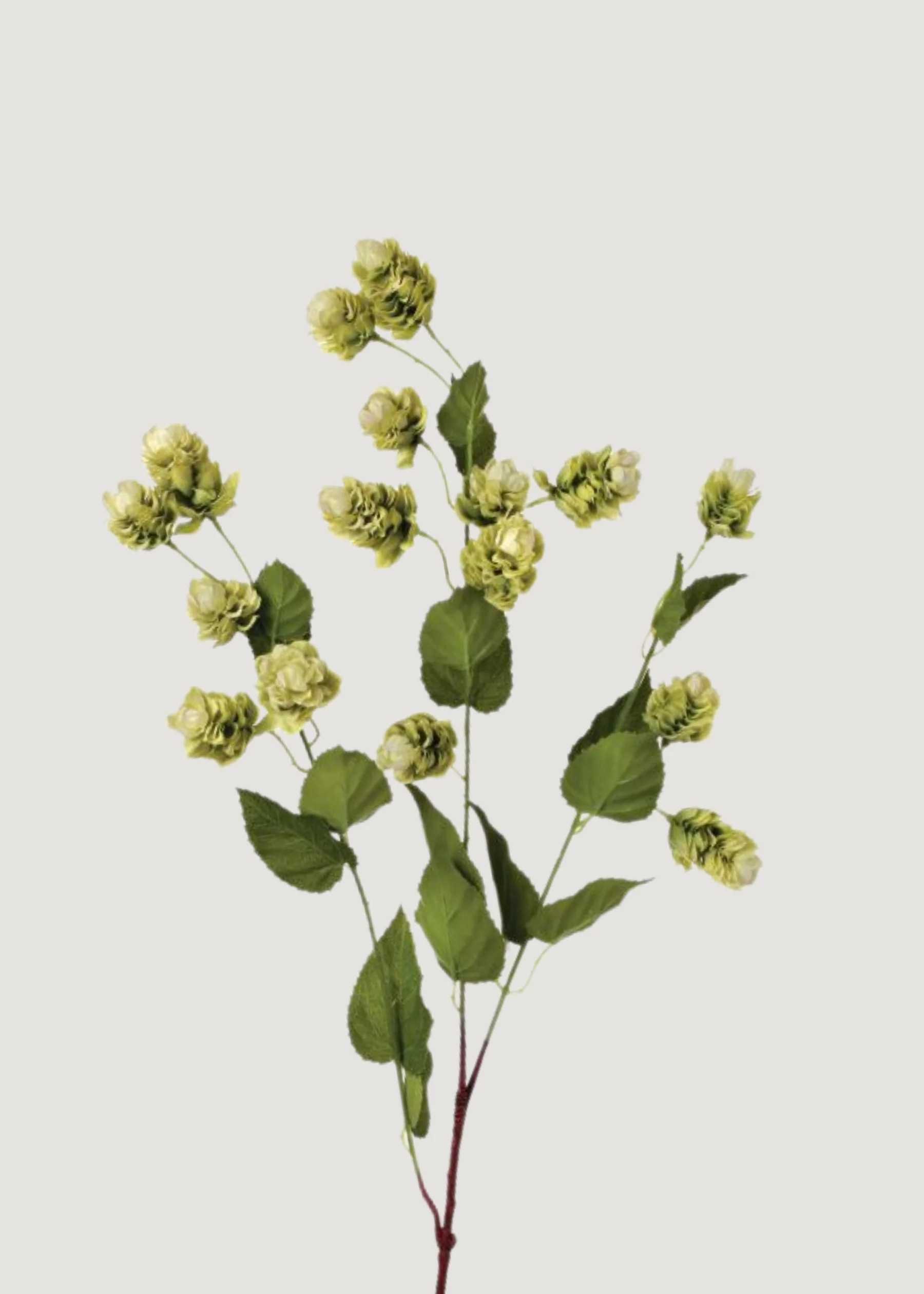 Artificial Hops Greenery Branch - 39" | Afloral