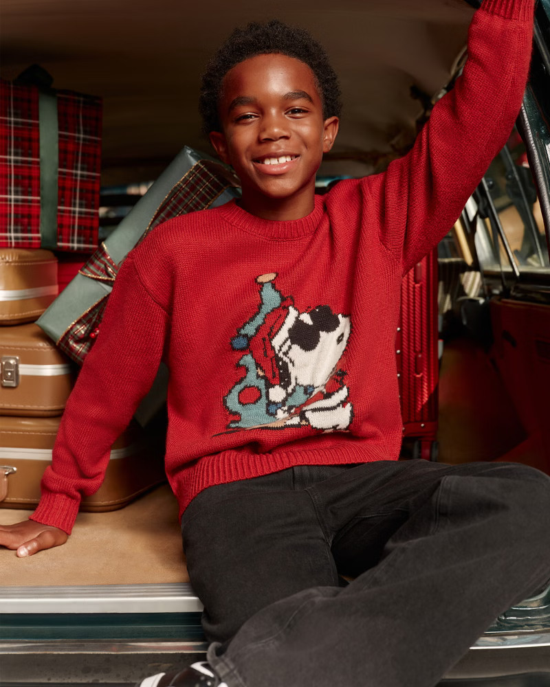 snoopy graphic crew sweater | Abercrombie & Fitch (US)