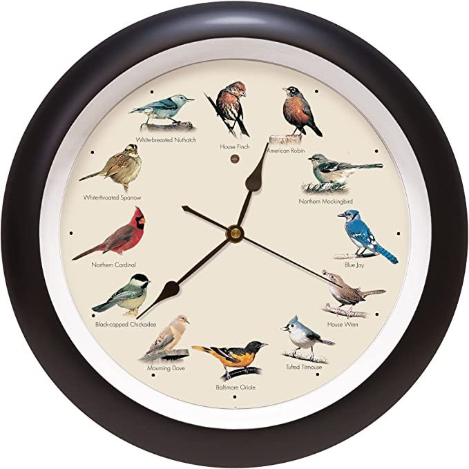 Mark Feldstein and Associates Original Singing Bird Wall Clock, 13 Inch (Black) | Amazon (US)
