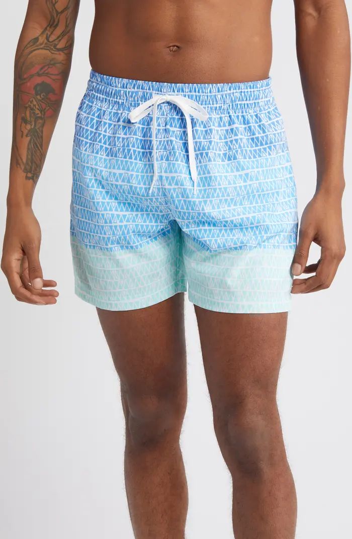 Classic Lined 5.5-Inch Swim Trunks | Nordstrom