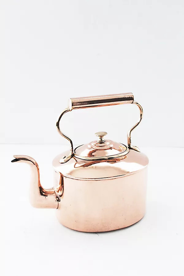 Vintage English Oval Tea Kettle, C.1880 | Anthropologie (US)