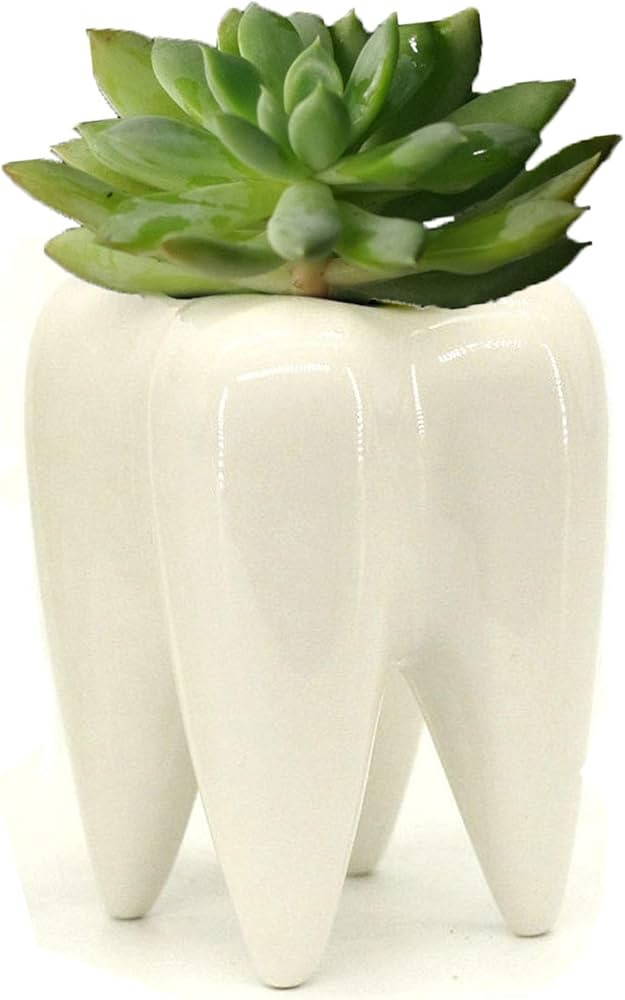 MONMOB Ceramic Tooth Shaped Pen Pencil Toothbrush Holder Pot Succulent Plant Pot Home Office Scho... | Amazon (US)