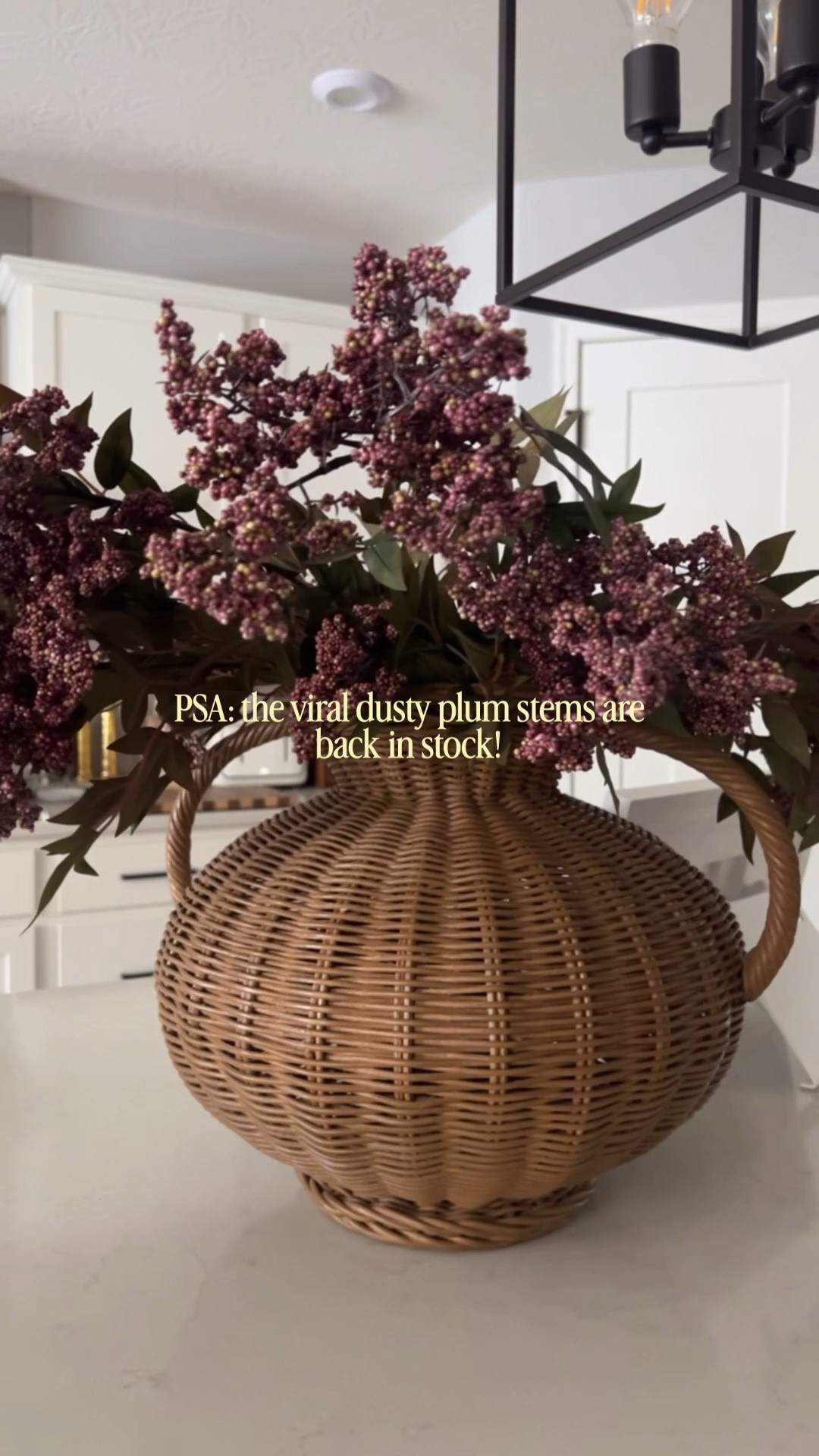 If you missed these the first time, this is your sign to scoop them up because these SELL OUT every year!!

Fall decor, fall styling, fall florals, fall stems, vase styling, counter styling

#LTKHome #LTKSeasonal
