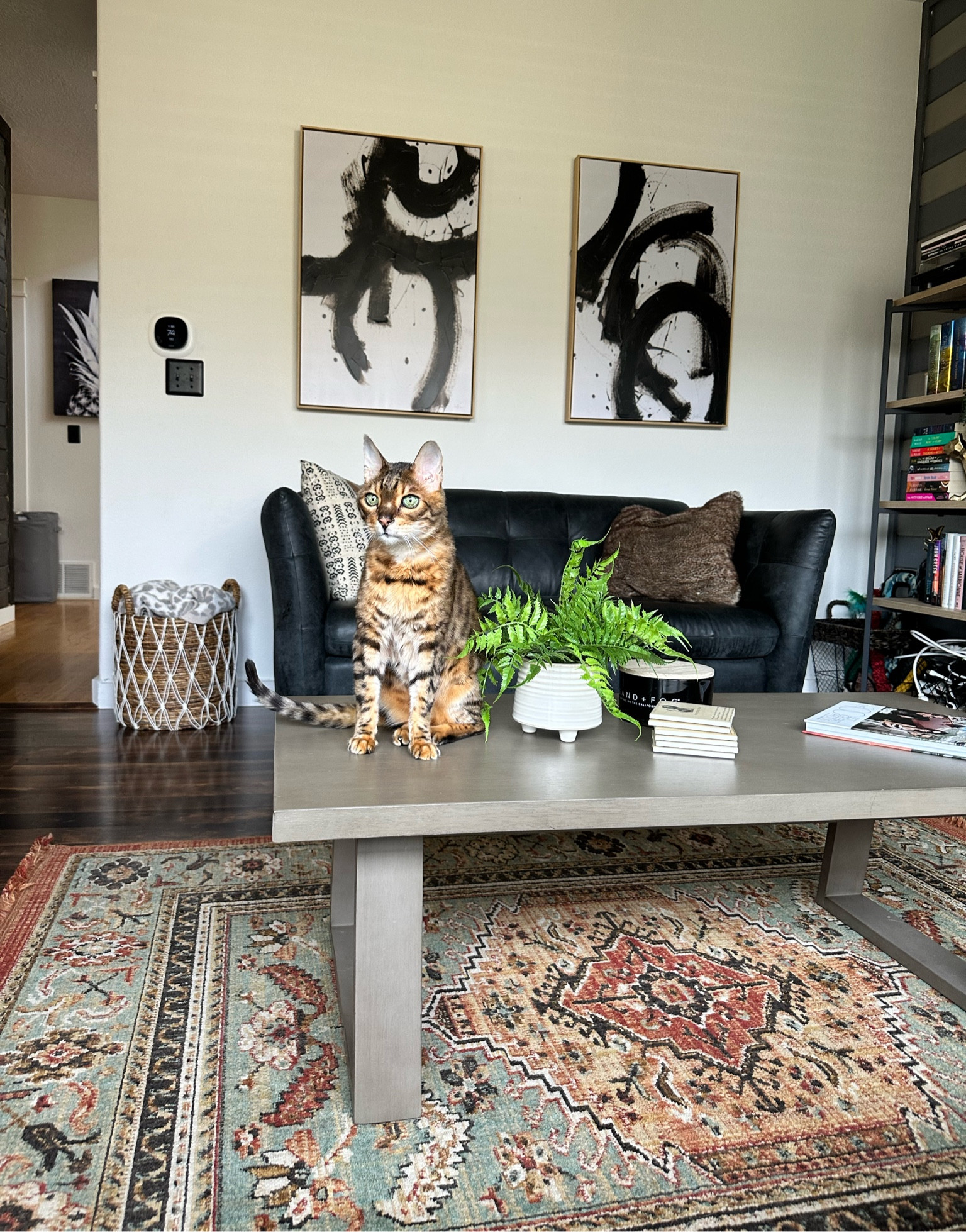 Eclectic living room slate gray coffee table 

#LTKSaleAlert #LTKHome