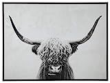 Amazon.com: Signature Design by Ashley Pancho Modern Framed Cow Canvas Wall Art, 48 x 36, Black &... | Amazon (US)