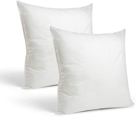 Foamily Throw Pillows Insert Set of 2 - 22 x 22 Insert for Decorative Pillow Covers - Made in USA... | Amazon (US)
