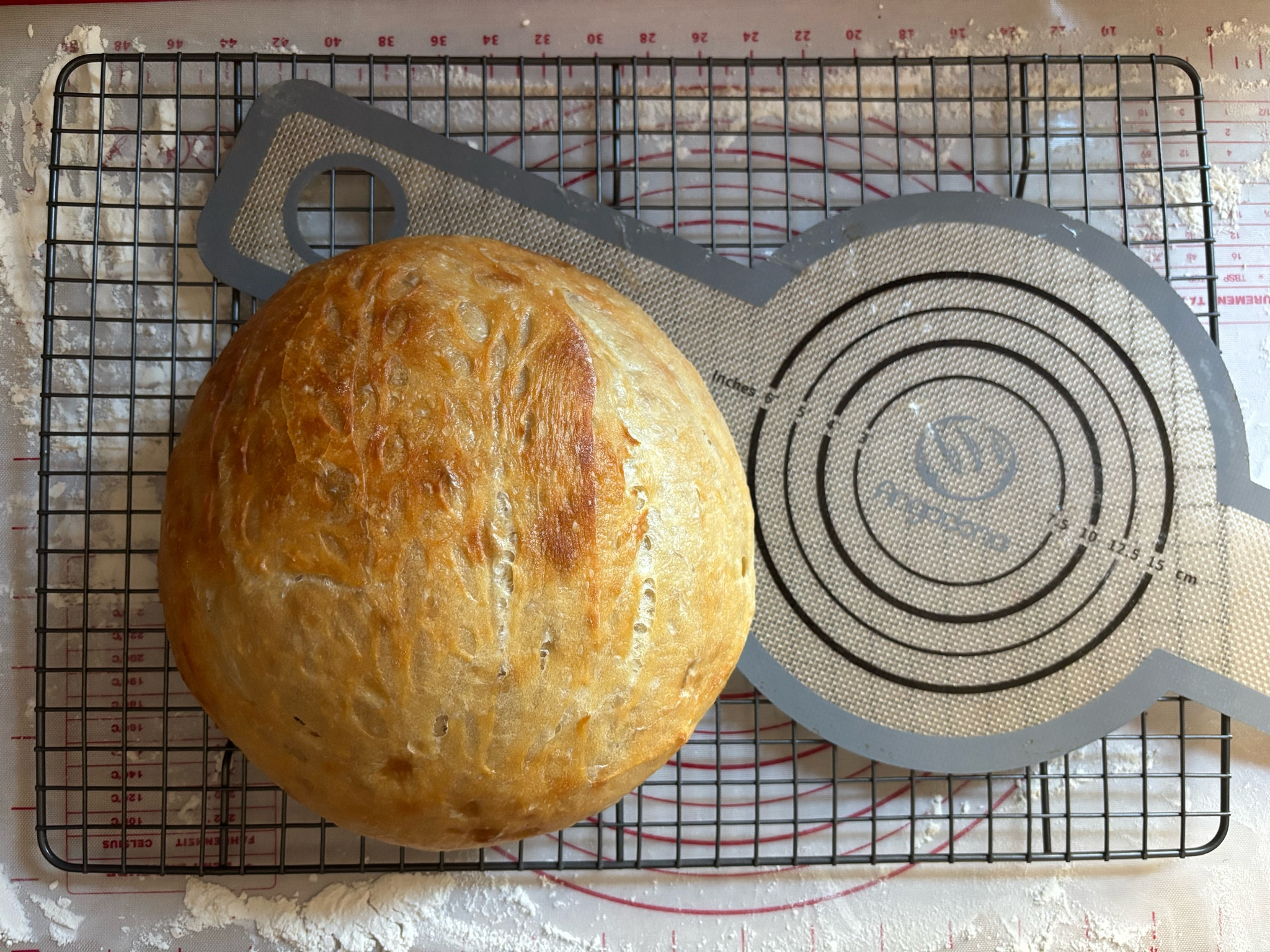 Silicone bread mat! If you bake sourdough regularly this is a must! Reduces waste from parchment paper and is so easy to clean! And bonus of it being low tox!

#LTKSeasonal #LTKHome #LTKGiftGuide