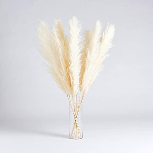 Luxury Pampas Grass Decor- 30 Stems, 18' Cocoa Brown Decor, Grass Decor for Home Decorating, Gras... | Amazon (US)
