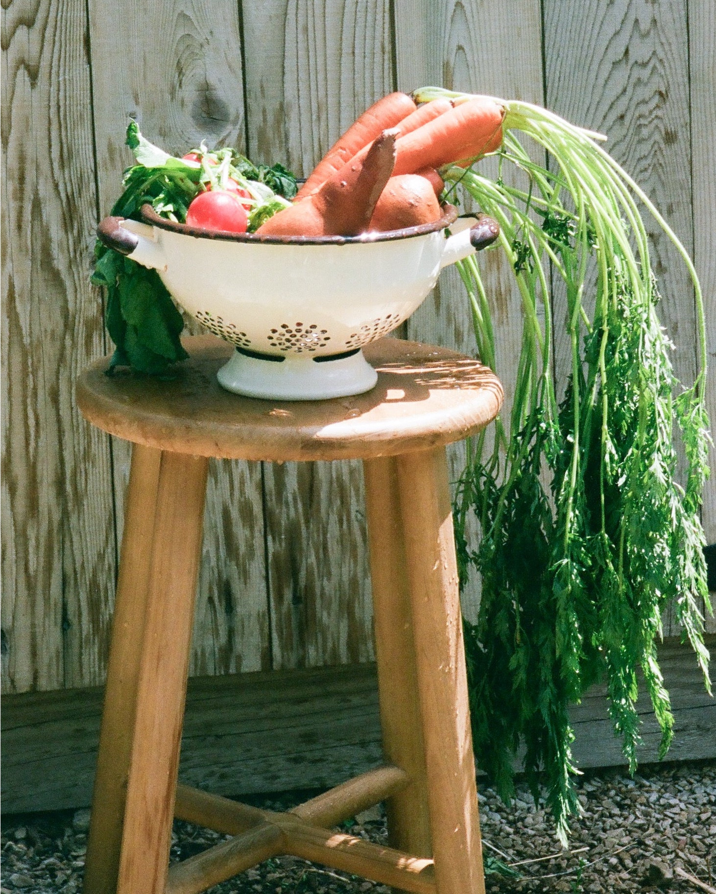 Loving this ballerina farms enamel colander! 

#LTKHome #LTKU #LTKFamily