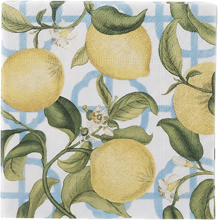 Entertaining with Caspari Seville Cocktail Napkins, Ivory, Box of 40 | Amazon (US)