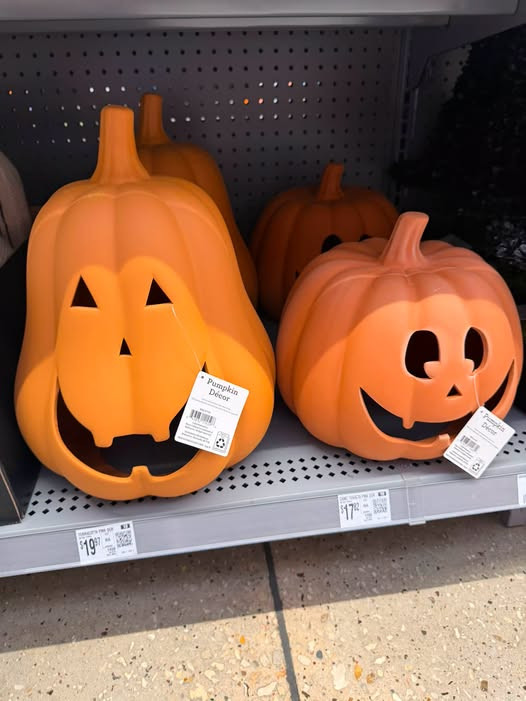 The adorable terracotta Jack O’ Lanterns are HERE! 🎃🧡🙌 Such a cute little touch for your fall + Halloween decor! 🍂✨

#HalloweenDecor #FallDecor #JackOLantern #LTKFinds #HomeDecor 

 