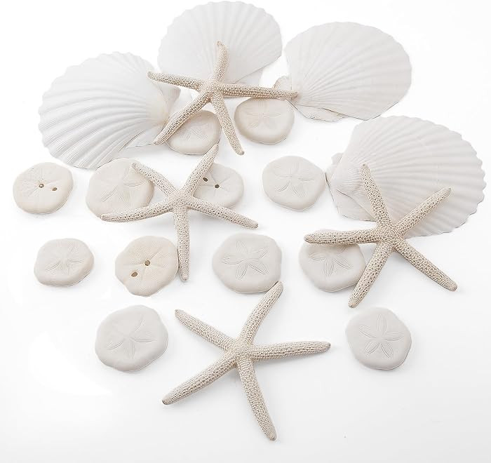 JQAQJU 20PCS Sand Dollars Starfish Scallop Shells for Crafts 3-4" | Amazon (US)