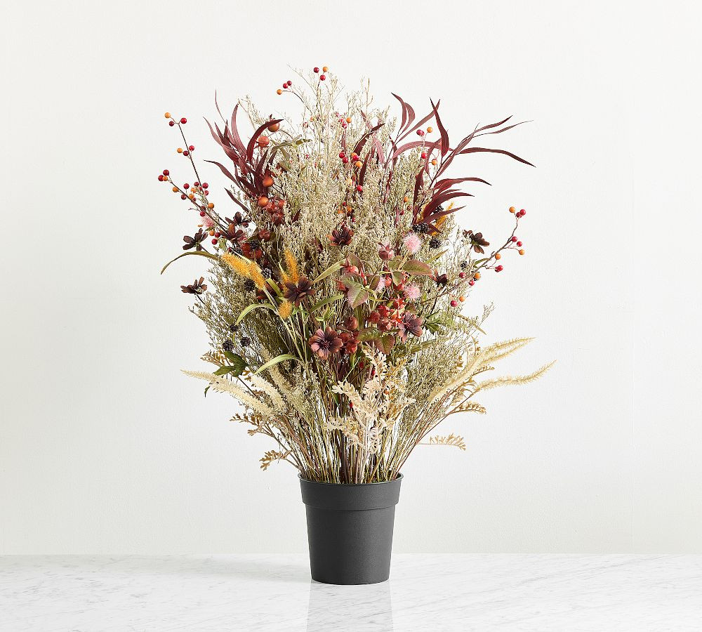 Potted Fantastical Forest Mixed Grass | Pottery Barn (US)