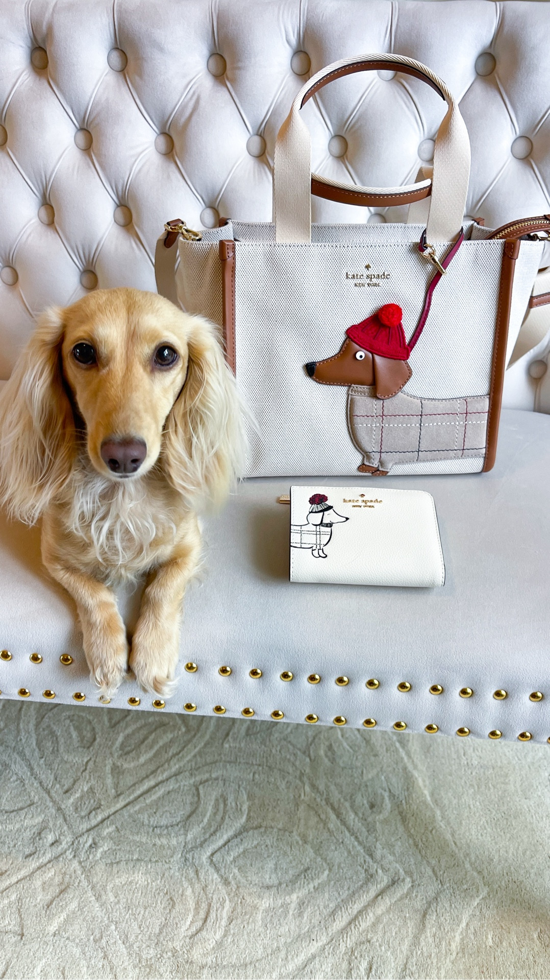 Unboxing the new Kate Spade dachshund tote & matching wallet! @Kate Spade 

#LTKootd #LTKSaleAlert #LTKSeasonal
