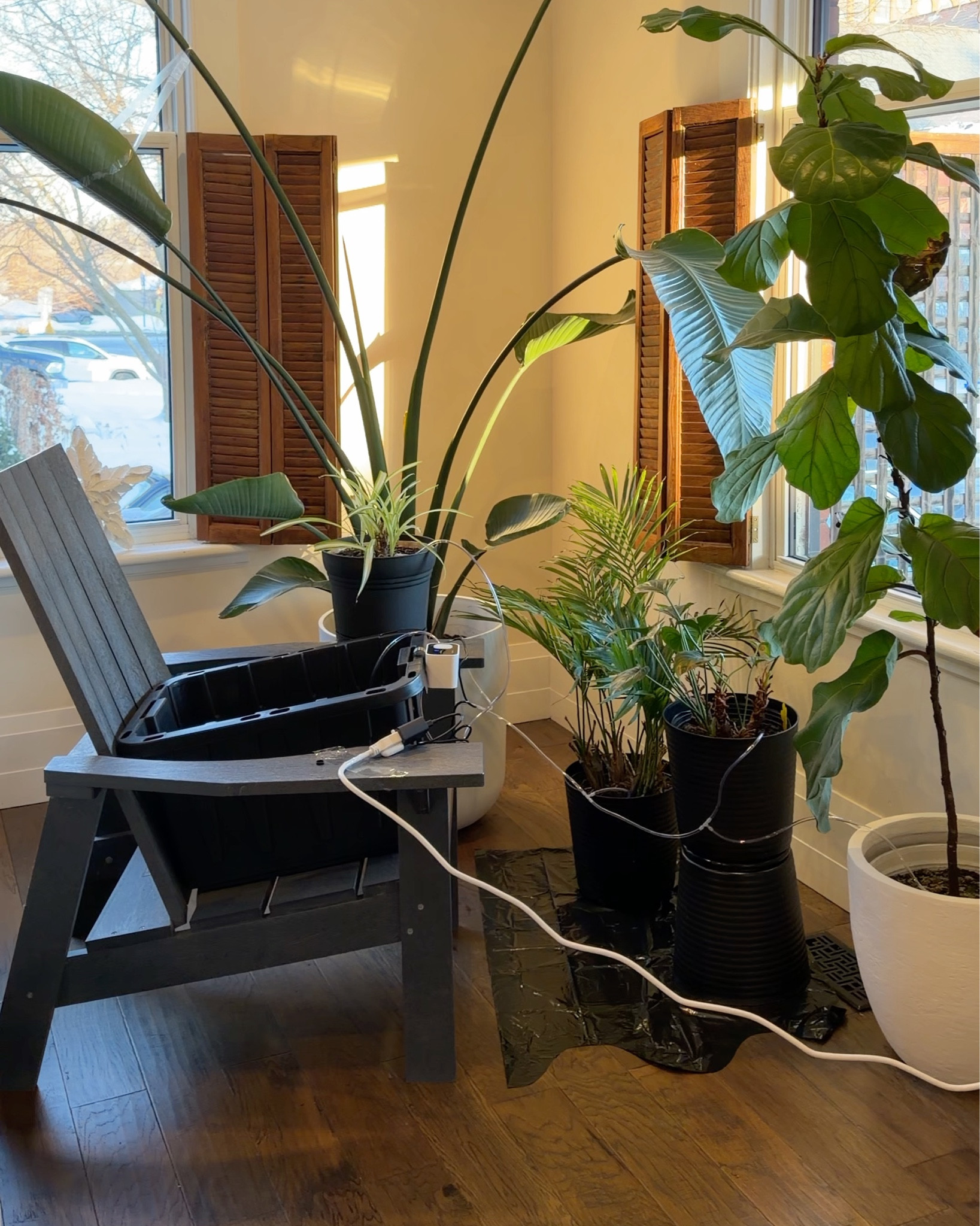Automatic watering system for indoor plants while on vacation 🪴 ✈️ ☀️  

#homehacks #wateringsystem

#LTKcanada #LTKhome