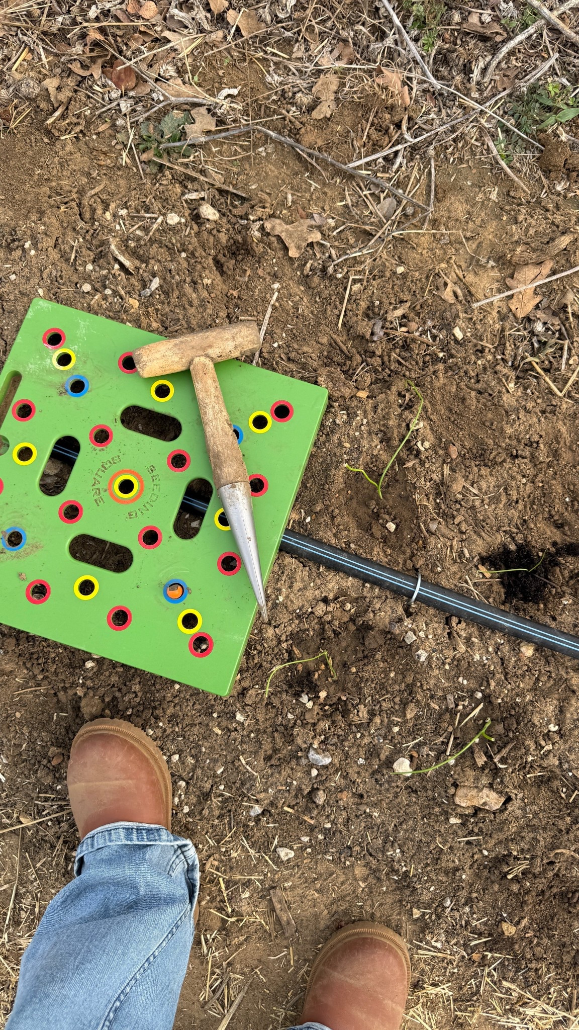Planting onions & measuring with my seed square. 💚🌱💚

#LTKdayinmylife #LTKSeasonal #LTKActive