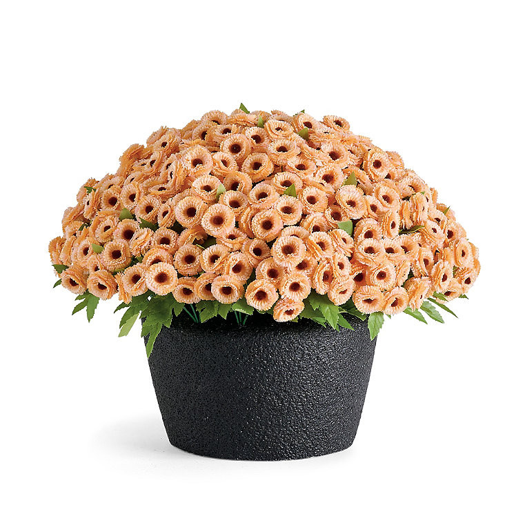 Mum Urn Filler | Grandin Road | Grandin Road